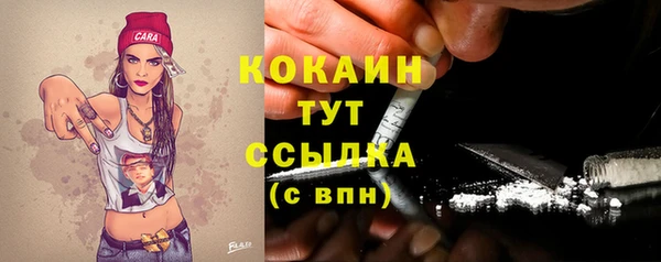 spice Алзамай