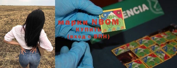 spice Алзамай