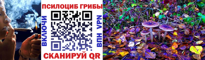 Галлюциногенные грибы MAGIC MUSHROOMS  как найти наркотики  Сарапул 