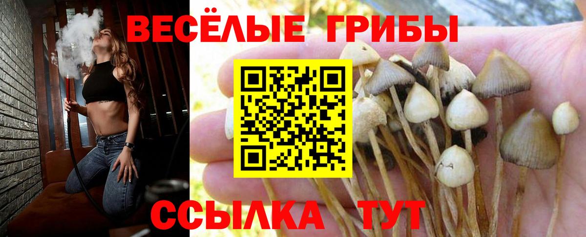 Сарапул  Псилоцибиновые грибы ЛСД  Псилоцибиновые грибы мицелий  Вход с VPN 